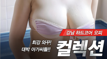 오피스타 | [강남오피-컬렉션]