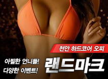 오피스타 | [천안오피-랜드마크]