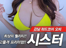 오피스타 | [강남오피-시스터]