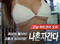 오피스타 | [강남오피-나혼자간다]