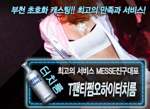 오피스타 | [T팬티쩜오하이터치룸-MESSE진구대표]