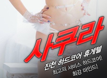 오피스타 | [진천휴게텔-사쿠라]
