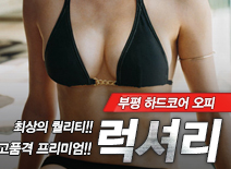 오피스타 | [부평오피-럭셔리]