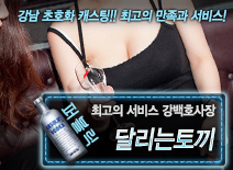 오피스타 | [달리는토끼-강백호사장]