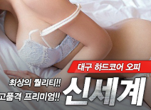 오피스타 | [대구오피-신세계]