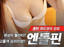 오피스타 | [동탄오피-엔돌핀]