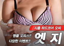오피스타 | [시흥오피-엣지]
